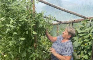 Vrijedna poljoprivrednica Šahza Resić