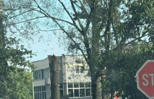 Koliko života još mora biti izgubljeno? Vozač u alkoholiziranom stanju usmrtio djevojku!