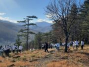 Učenici JU “MSŠ” Živinice zasadili 2000 sadnica bijelog bora