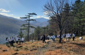 Učenici JU “MSŠ” Živinice zasadili 2000 sadnica bijelog bora