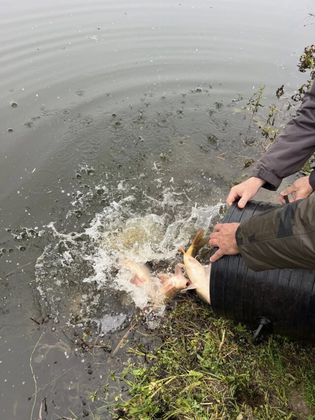 599930496_748601011642682_370324829923852777_n