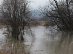U Živinicama rijeka Spreča u manjim količinama izlila iz korita