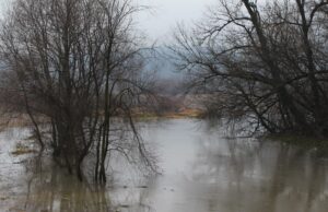 U Živinicama rijeka Spreča u manjim količinama izlila iz korita